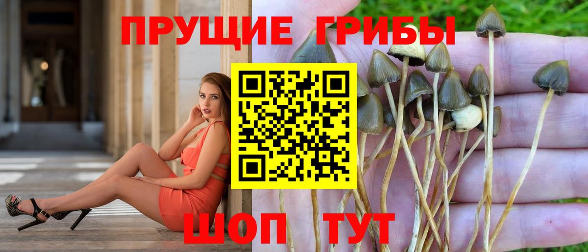 Псилоцибиновые грибы прущие грибы Новодвинск