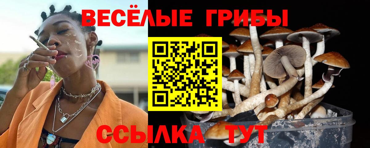 Новодвинск  Псилоцибиновые грибы мухоморы  Вход с VPN 